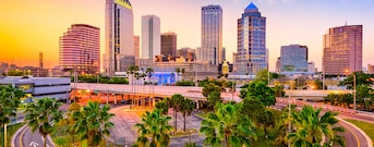 Tampa - Fl