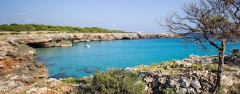 Cala En Bosch