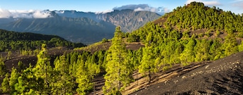 Santa Cruz de la Palma