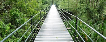 Monteverde