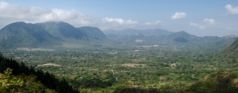Antón