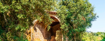 Les Gavarres