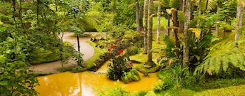 Furnas
