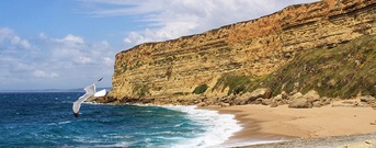 Praia da Foz do Arelho