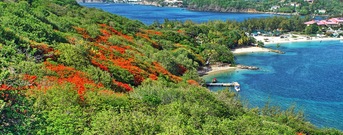 Rodney Bay