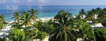 Guardalavaca