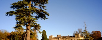 Swindonn