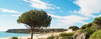 Tarifa