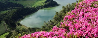 Isla de San Miguel