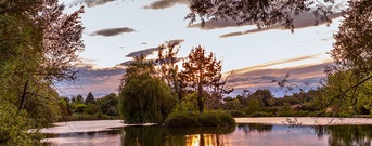 Valle de Marne