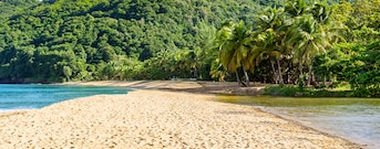 Basse Terre
