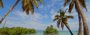 Isla Madagascar
