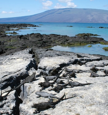 Punta Espinoza