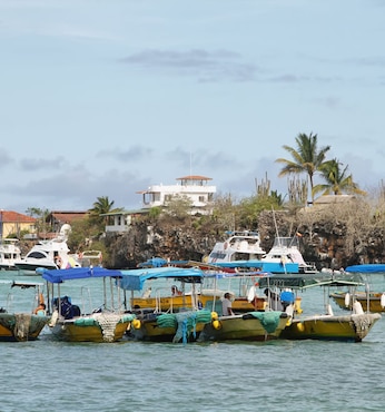 Puerto Ayora (Santa Cruz, Galápagos)