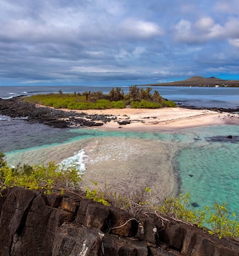 Bahía Elizabeth (Isla Isabela, Galápagos)