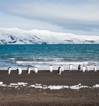 Isla Decepción (Antártida) 