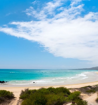 Bahia Urvina, Isabela
