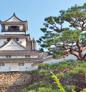 Kochi (Japón)