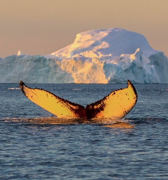 Ilulissat (Groenlandia)