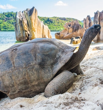 Aldabra (Seychelles)