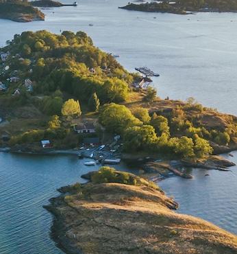 Crucero panorámico Oslofjord (Noruega)
