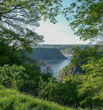 Valle del Rin Medio