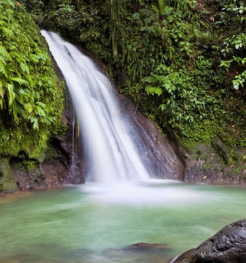 Guadalupe (Pointe-à-Pitre)
