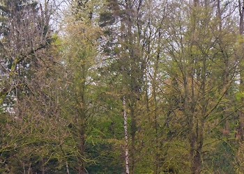 Maubeuge