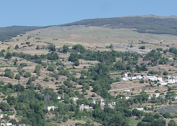 Bérchules
