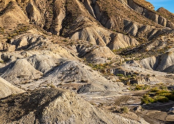 Tabernas