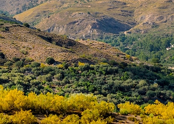 Cádiar