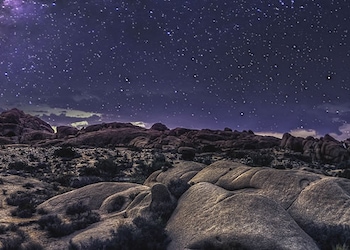 Joshua Tree - Ca