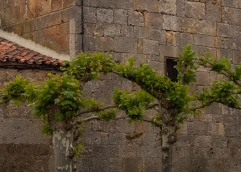 Peñalba de Castro