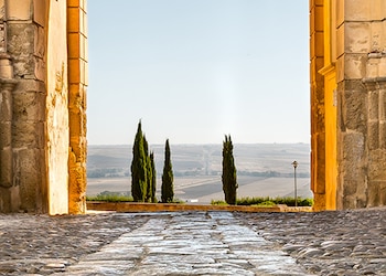 Carmona