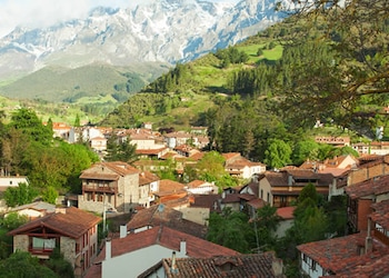 Potes
