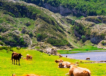 Asturias