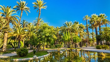 Elche