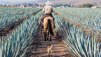 Jalisco