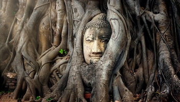 Ayutthaya 