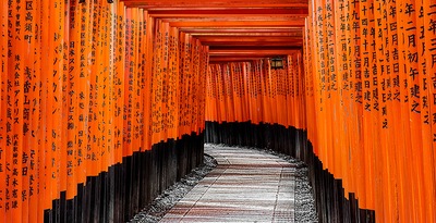 De Tokio a Kioto y Dubái