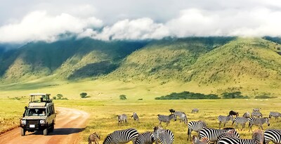 Nakuru, Masai Mara, Serengueti, Ngorongoro y Tarangire