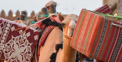 Ruta desde Yeda a Riad