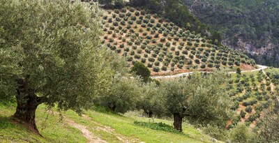 Escapada Rural en Jaén