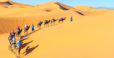 Marrakech con paseo en camello por el Palmeral