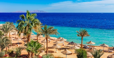 Sharm El Sheikh con safari por el desierto y snorkel en Blue Hole