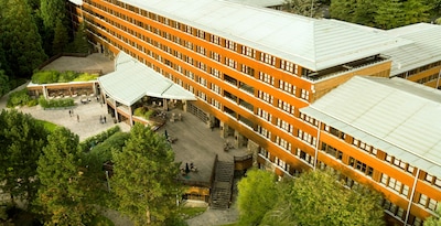 Disney Sequoia Lodge