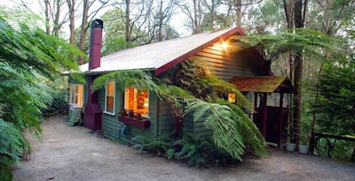 A Cottage in the Forest