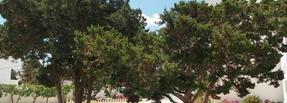 Hotel Lago Playa I