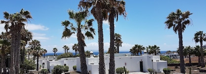 Palmeras Garden