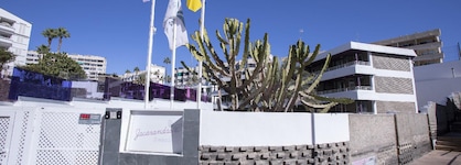 Jacarandas Beach
